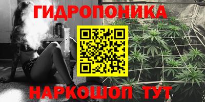 прущие крисы Шелехов