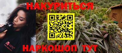прущие крисы Шелехов