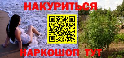 прущие крисы Шелехов